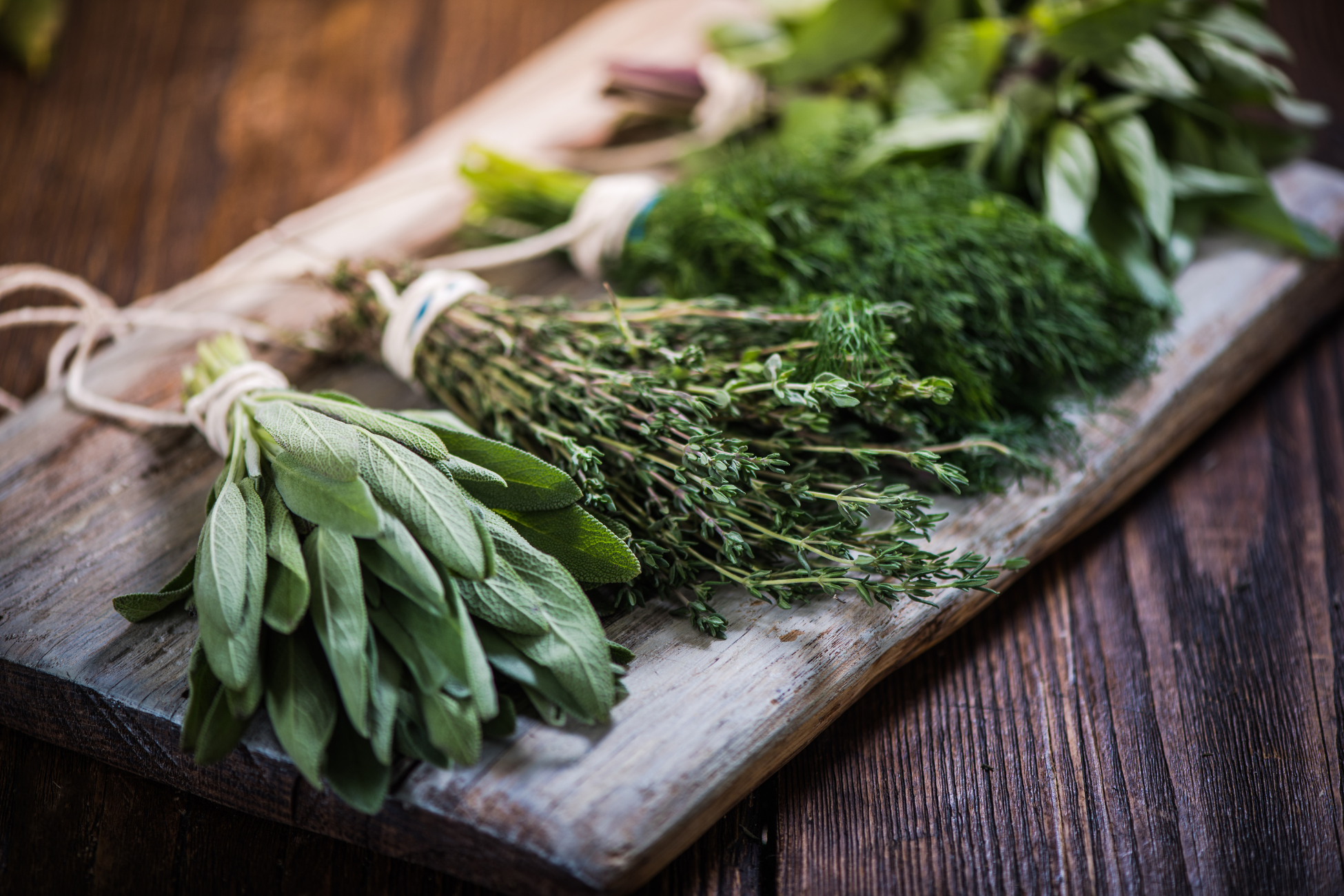 Quick and Easy Kitchen Tip: How to Keep Herbs Fresh for Longer