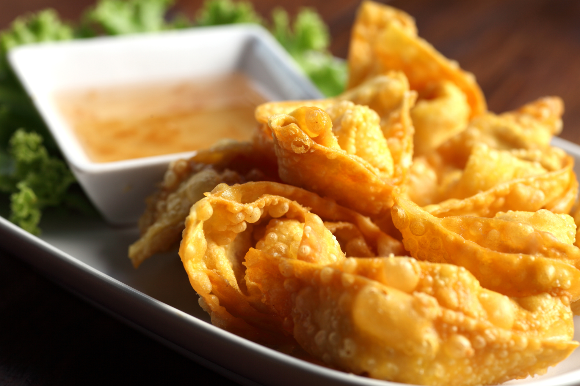 Fried Wontons with Savory Pork Filling