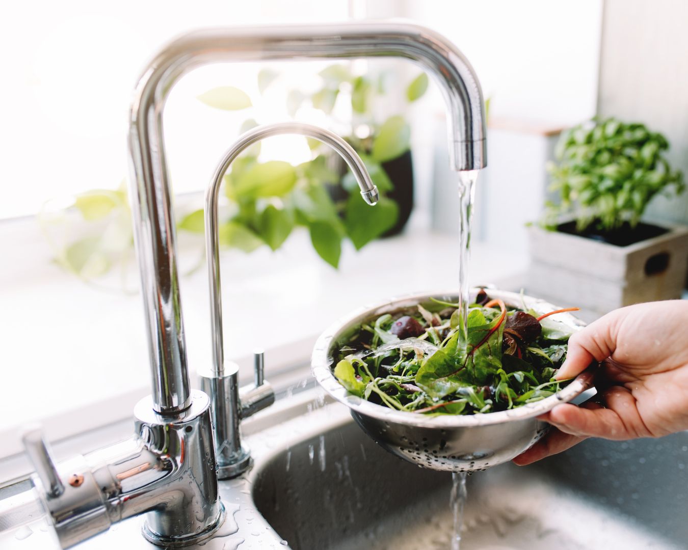 Different Ways to Prepare and Cook Leafy Greens