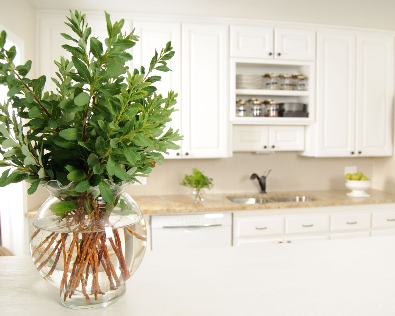 Decorating with Plants: Adding Greenery to Your Kitchen for a Fresh and Vibrant Look